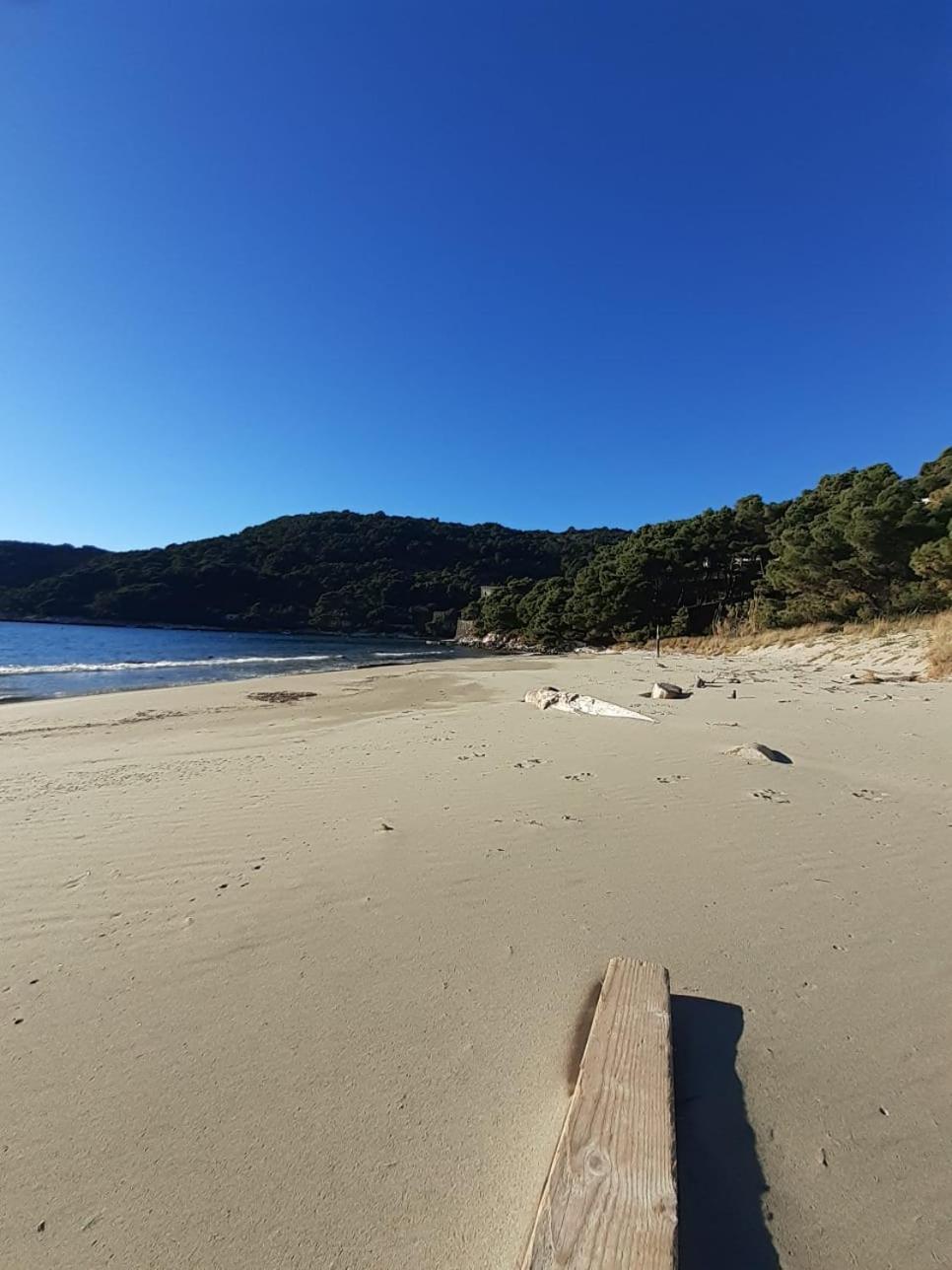 Apartment Nadine Mljet Mit Meerblick Okuklje Экстерьер фото