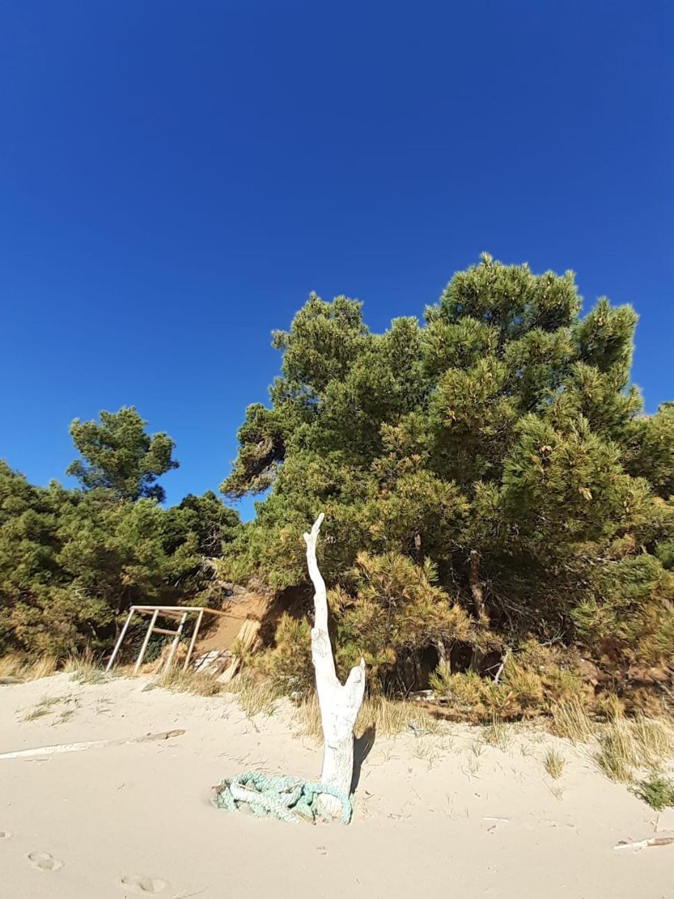 Apartment Nadine Mljet Mit Meerblick Okuklje Экстерьер фото