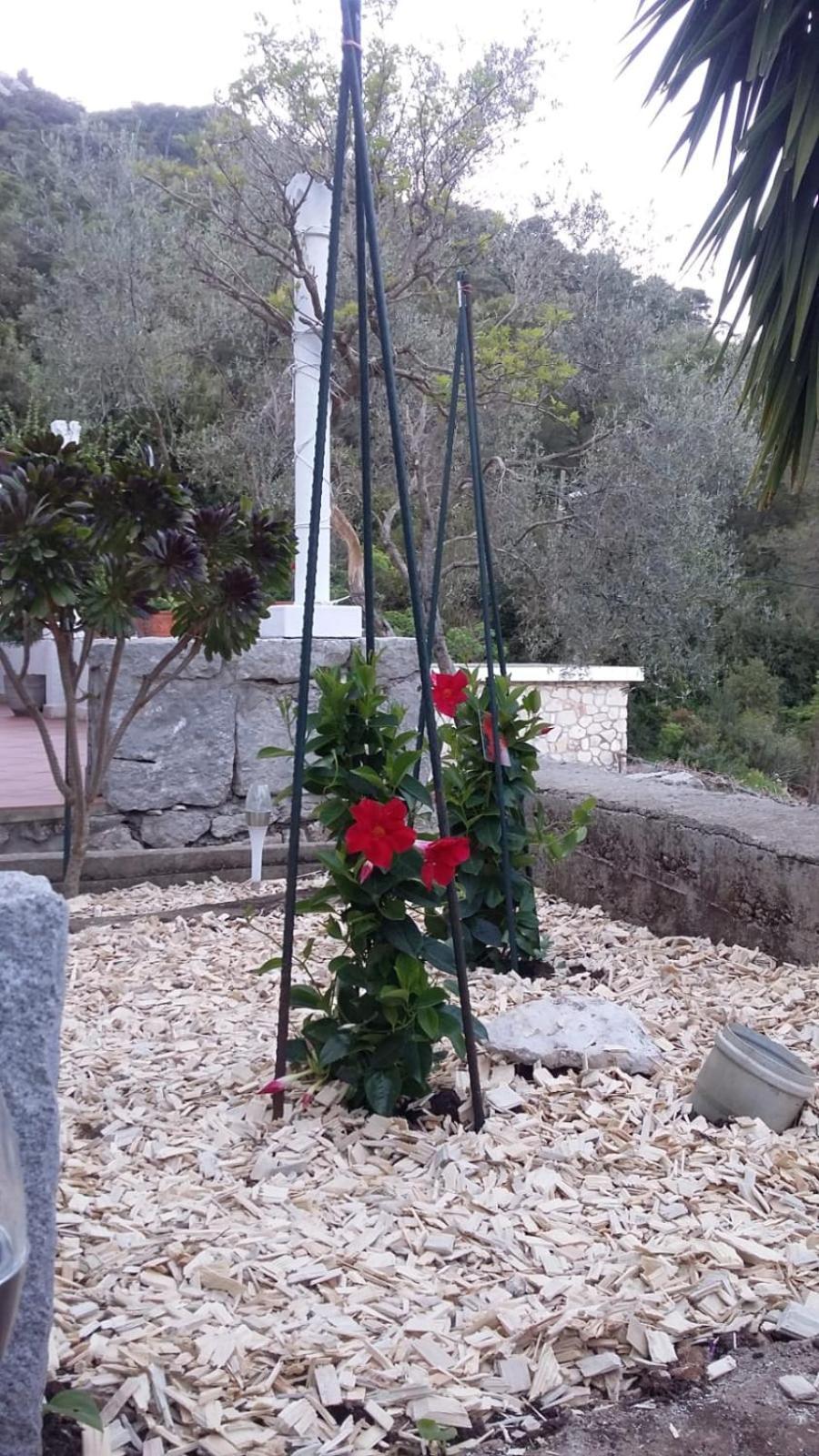 Apartment Nadine Mljet Mit Meerblick Okuklje Экстерьер фото